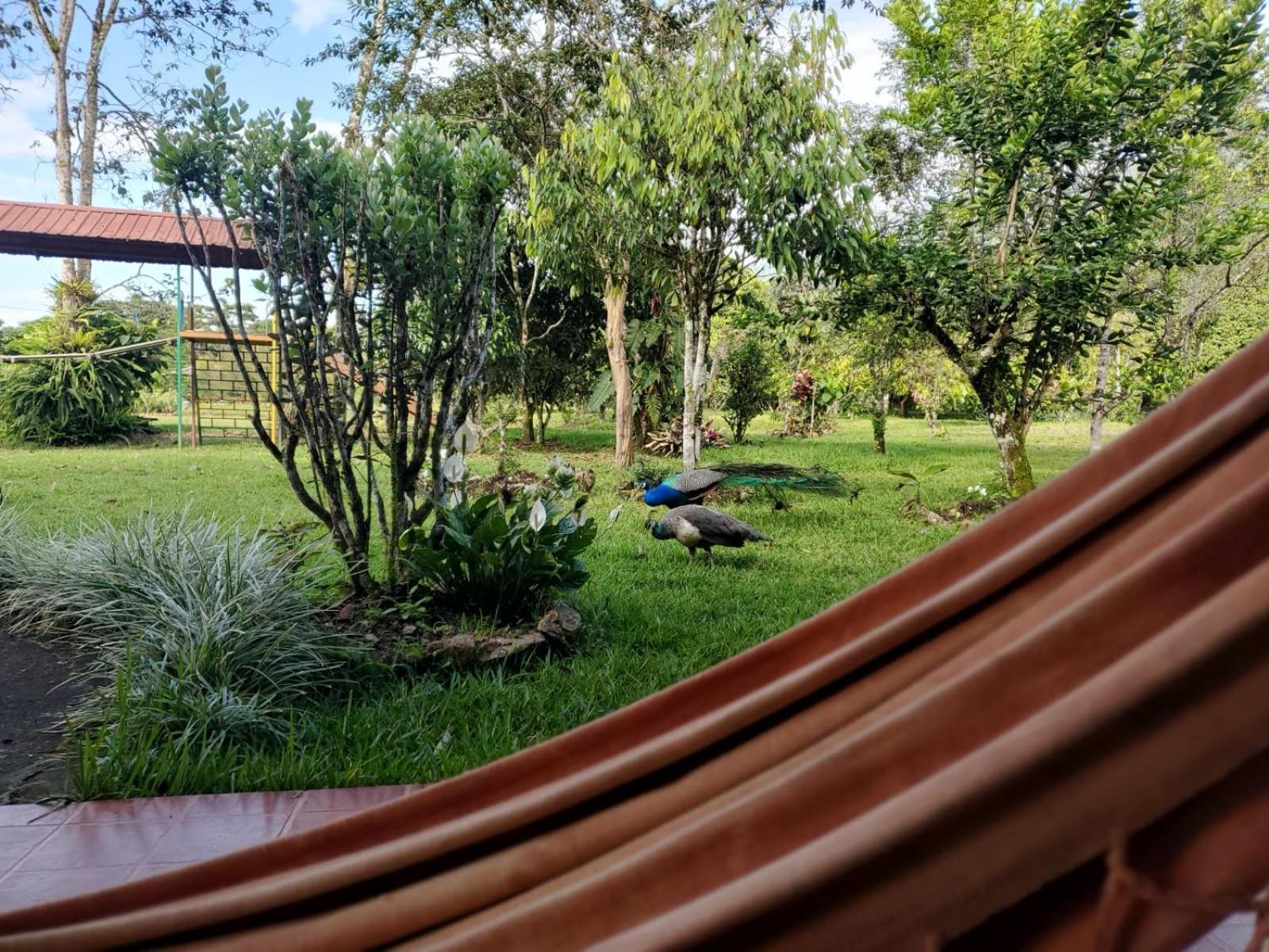 La Quinta De Andres Hotel San Isidro  Buitenkant foto